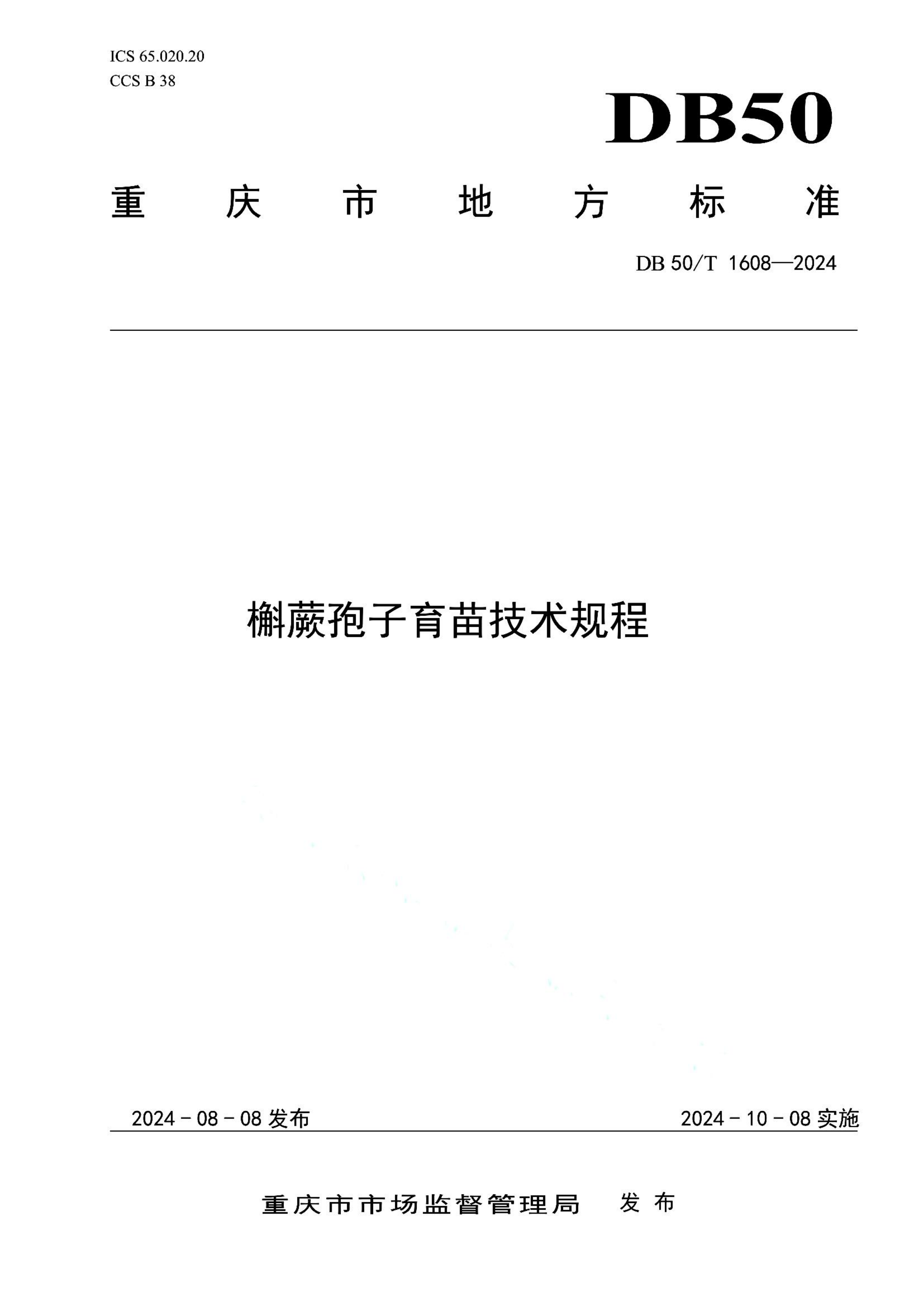 资源详情图